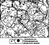 Рис. 3б. Природне тло заселення…