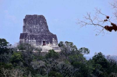 Іл. 265: “Храм IV” у Тікалі.