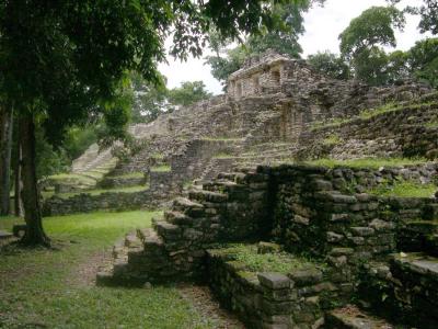 Іл. 353: “Структура 44” (“Західний…