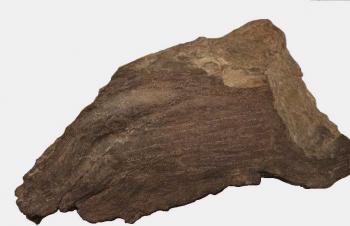 Карсакпайский камень с надписью Тимура…