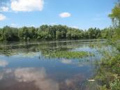 Рис. 1.1.10. Заострівний рукав – Десенка, вид з Троєщини Рис. 1.1.10. Заострівний рукав –…