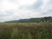 Рис. 1.1.34. Вид на реліктову долину Дніпра Підгорецького амфітеатру у с.… Рис. 1.1.34. Вид на реліктову долину…