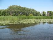 Floodplain tract Knjaze