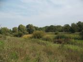 Remains of the flood Lukove (Bow)…