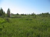 Osokorky meadows