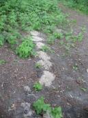 Рис. 1.10.110. Сліди діяльності крота на заплаві, береги затоки Верблюд Рис. 1.10.110. Сліди діяльності крота…