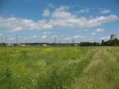 Рис. 1.2.33. Край першої надзаплавної (борової) тераси в районі Троєщинської… Рис. 1.2.33. Край першої надзаплавної…