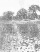 Рис. 1.6.14. Озеро Лукове 1956 р.…