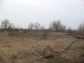 Рис. 2.5.8.11. Урочище «Старе Село», Фото І. Парнікози, 2012 р. Рис. 2.5.8.11. Урочище «Старе Село»,…