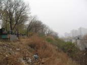 Рис. 2.5.8.47b. Край надзаплавної тераси в районі Дарницького цвинтаря. Один з… Рис. 2.5.8.47b. Край надзаплавної…