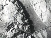 Рис. 2.7.10.18. Передмостова Слобідка (сучасний Венеціанський острів) на… Рис. 2.7.10.18. Передмостова Слобідка…