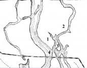 Рис. 2.7.7.6. Нижня частина острова Муромець на плані 1931 р.: протока… Рис. 2.7.7.6. Нижня частина острова…