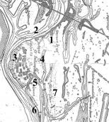 Рис. 2.7.9.10. Труханів острів на німецькомовній схемі 1931 р. Зазначено низку… Рис. 2.7.9.10. Труханів острів на…