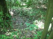 Рис. 2.8.3.16. Місце землянки на Трухановому острові, фото І.Ю. Парнікози Рис. 2.8.3.16. Місце землянки на…