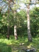 Рис. 3.1.235. Місце де знаходилася церква «Взыскание погибших» Рис. 3.1.235. Місце де знаходилася…