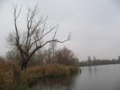 Куточок узбережжя озера Прірва восени.…