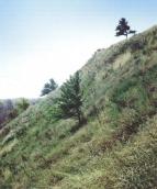 Лиса гора, 2001 р.