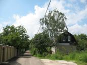 Рис. 1.6.138. Синантропна рослинність – садово-дачні ділянки Русанівських… Рис. 1.6.138. Синантропна рослинність…