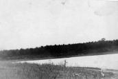 4. Озеро Боровое летом 1954 г.