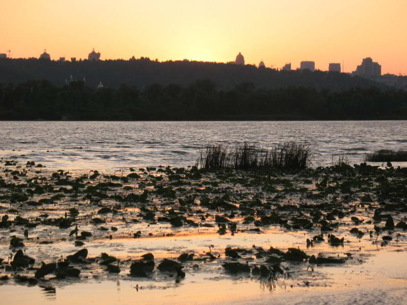 Berezniakivska embankment