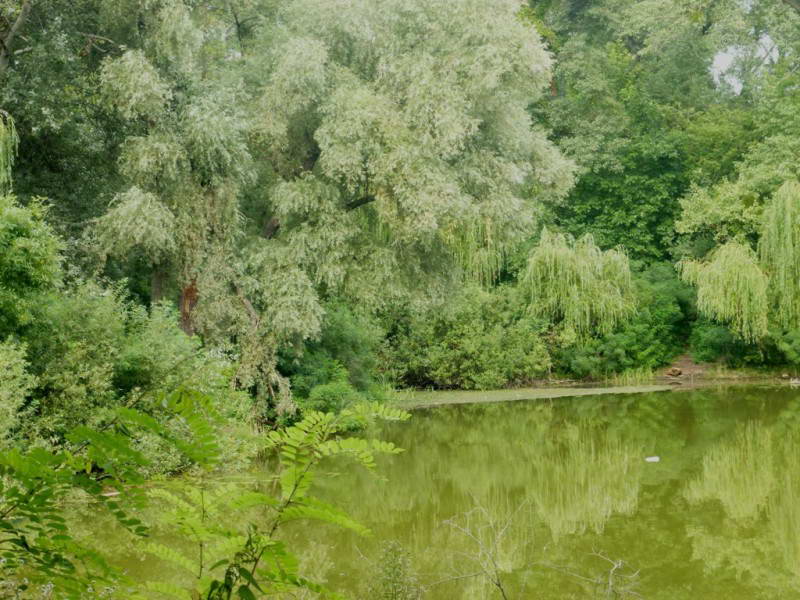 Berizka (Birch) Lake