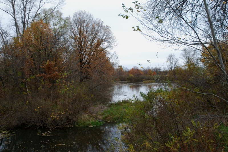 Muromets Island