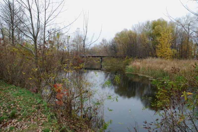 Muromets Island