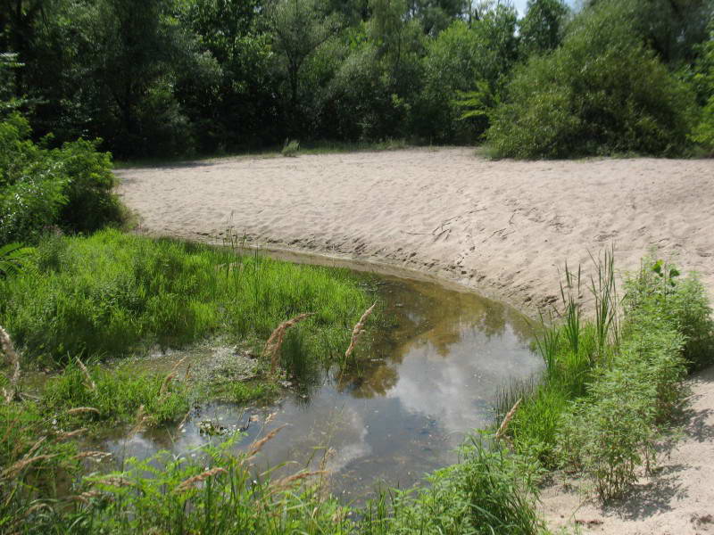 Урочище Горбачиха