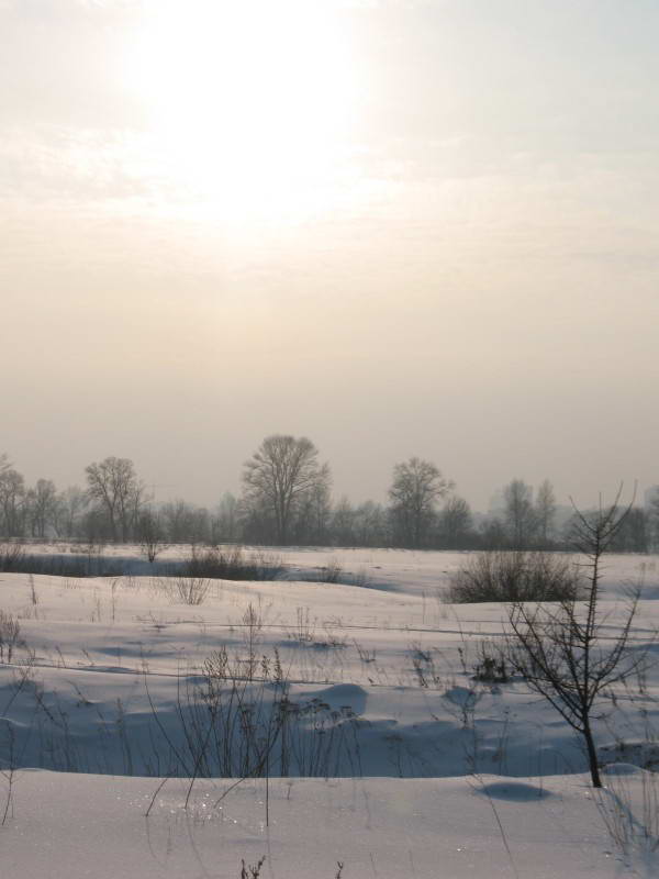 Muromets Island