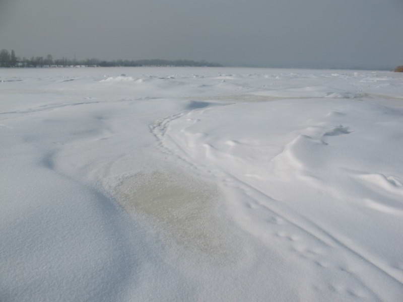 Остров Муромец.