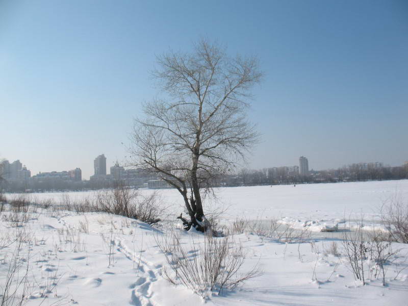 Острів Оболонський