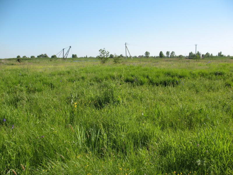 Osokorky meadows