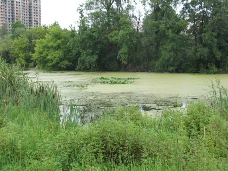 White Lake on Pozniaki