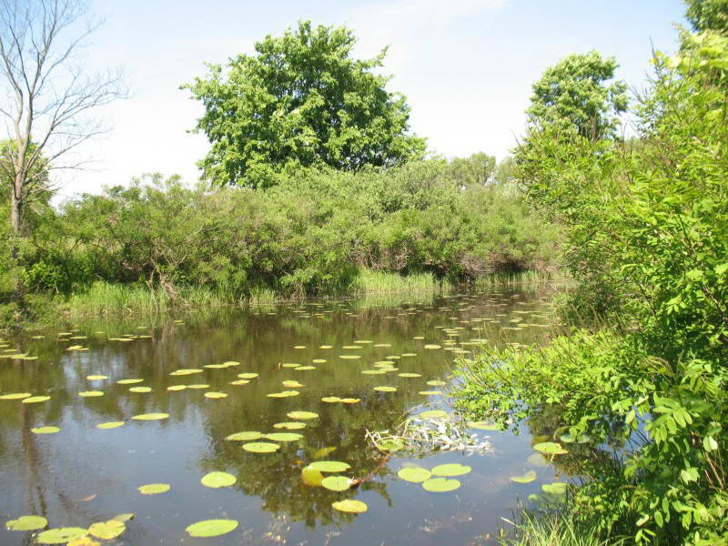 Muromets Island, Strait Bobrovnya