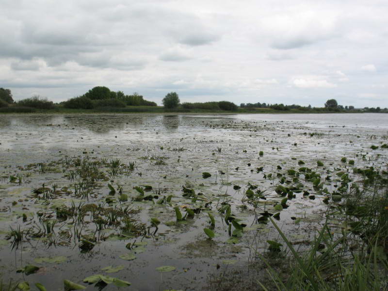 Погребская Старуха