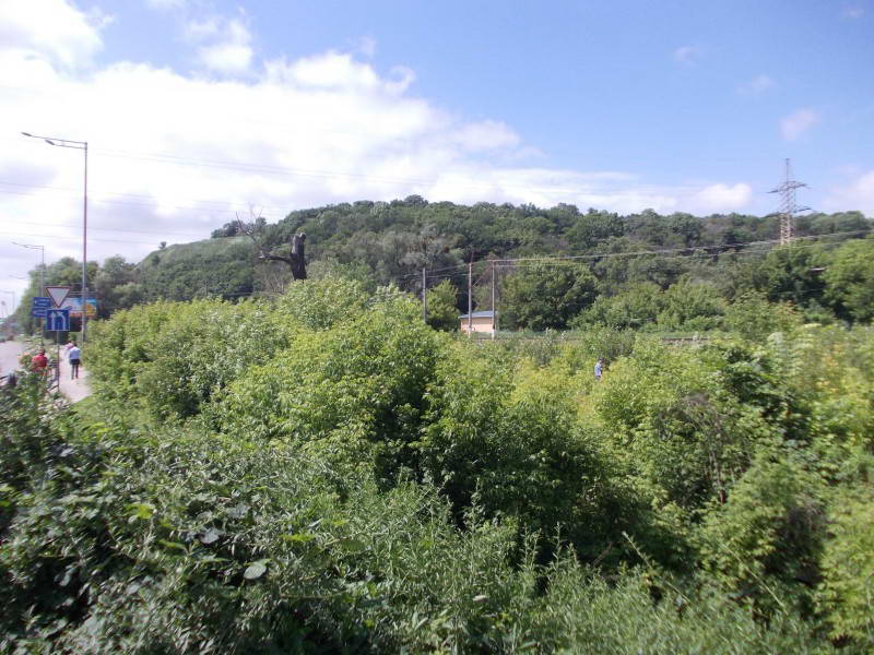 View on Bald Mountain to the north