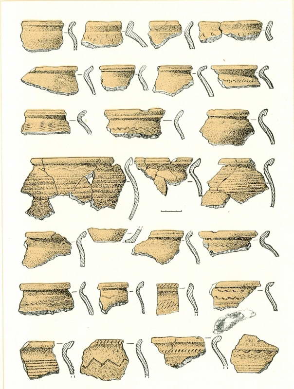 Ceramics of the Kyiv ancient Podil,…