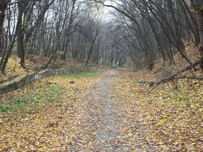 В'їзд на територію Лисогірського форту