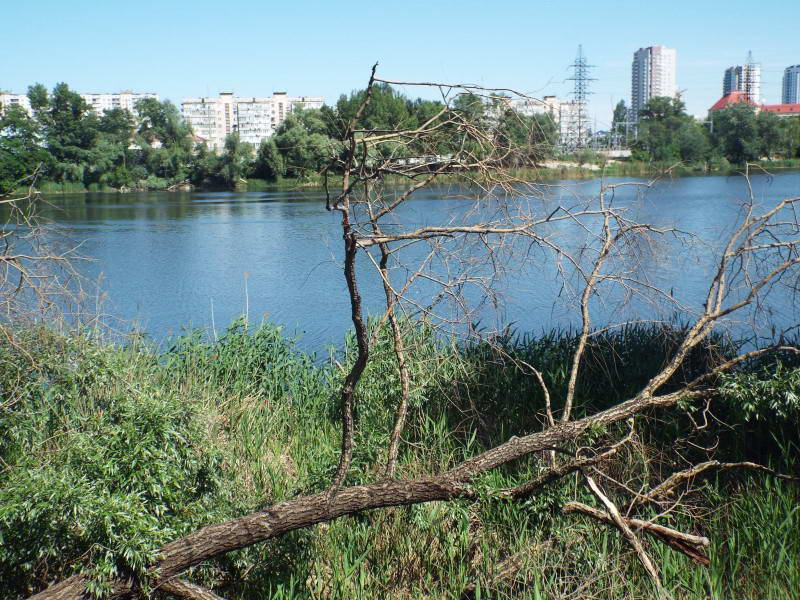 Вид на озеро Андріївське