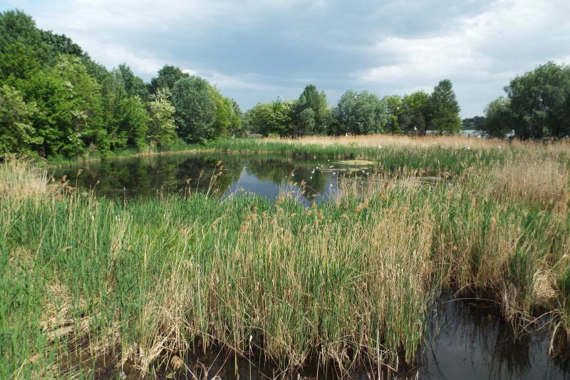 Lake Vyrlitsa