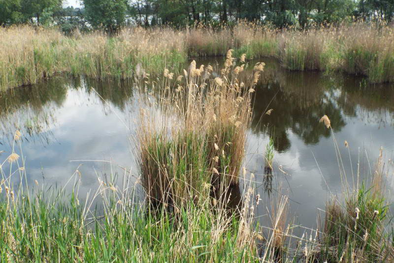 Lake Vyrlitsa