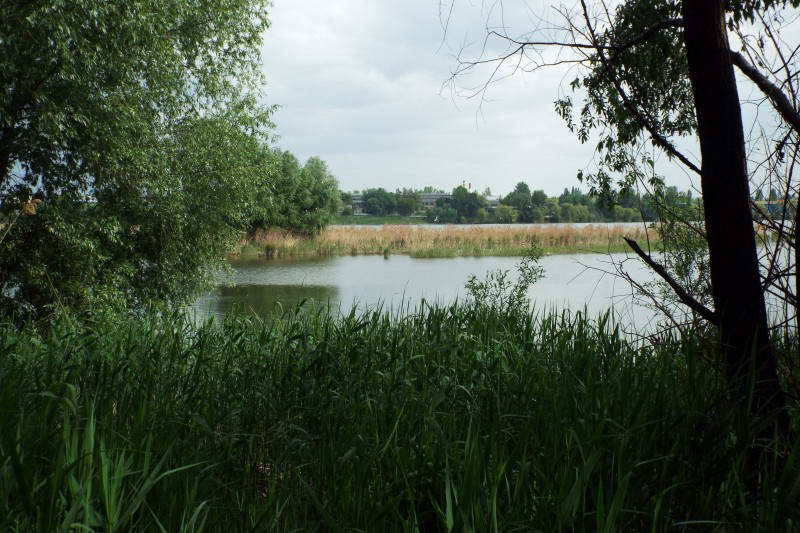 Lake Vyrlitsa