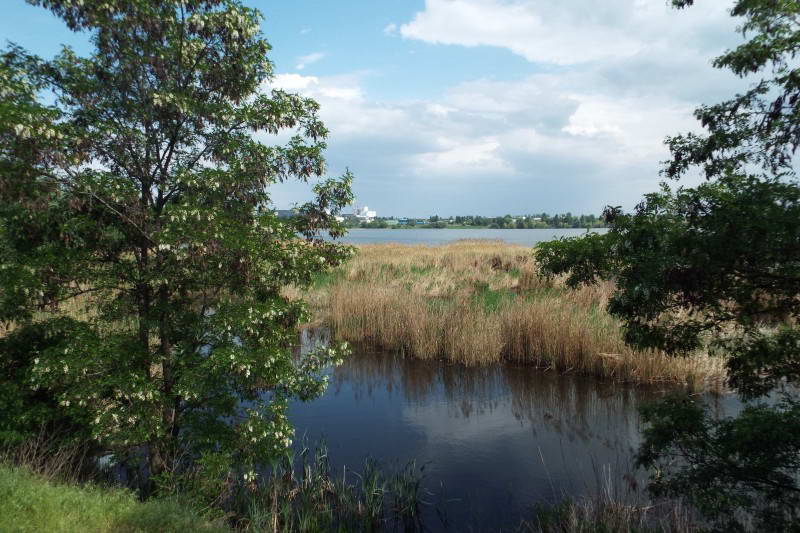 Lake Vyrlitsa