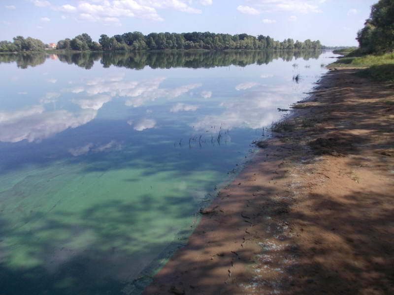 Цвітіння води внаслідок масового…