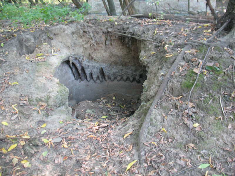 Shelter near the buildings on the…