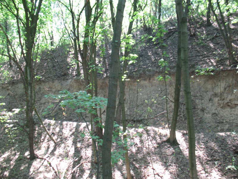 Landslide of the shaft of the…