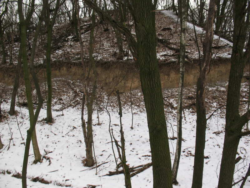 Landslide of the shaft of the…