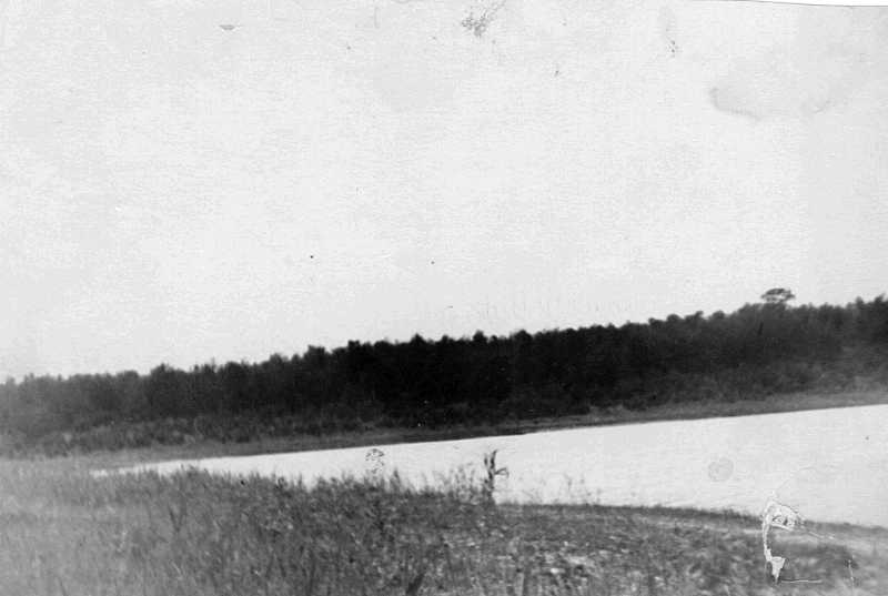 4. Lake Borove in summer 1954